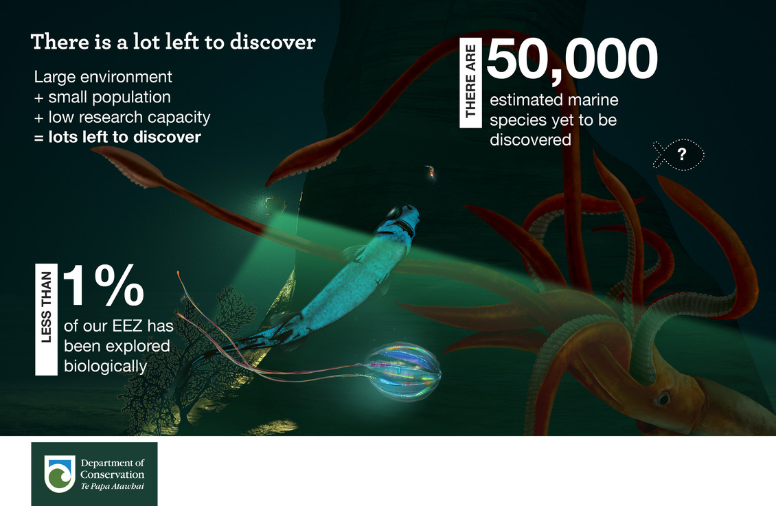 There is a lot left to discover, Deepwater infographic.