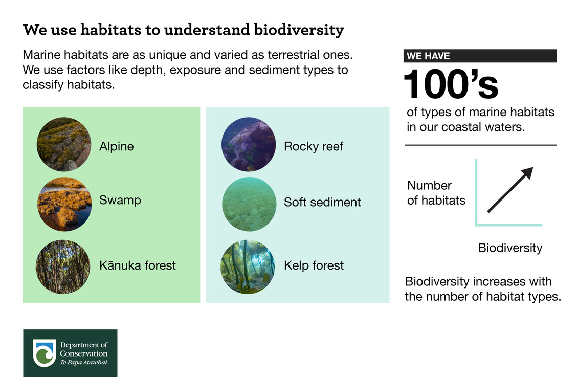 'We use habitats to understand biodiversity' infographic.