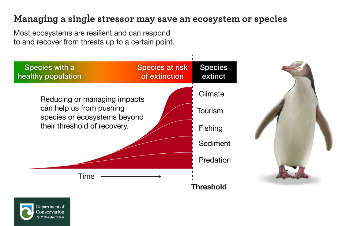 Managing a single stressor may save an ecosystem or species