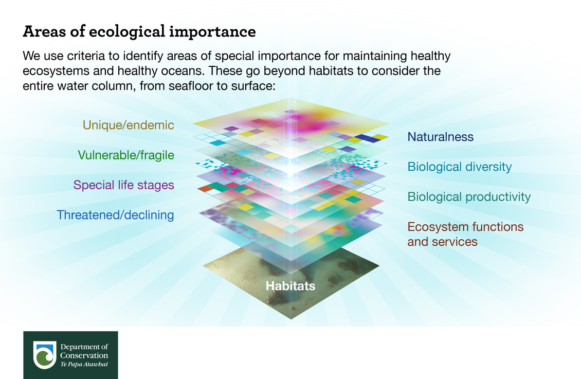 Areas of importance — Science Learning Hub