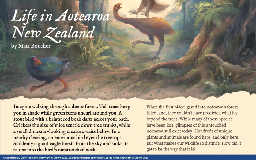 Life in Aotearoa New Zealand — Science Learning Hub