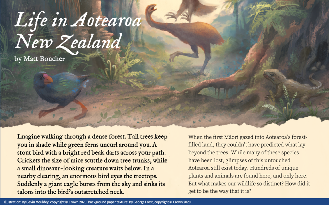 Cover of Connected journal article: Life in Aotearoa New Zealand