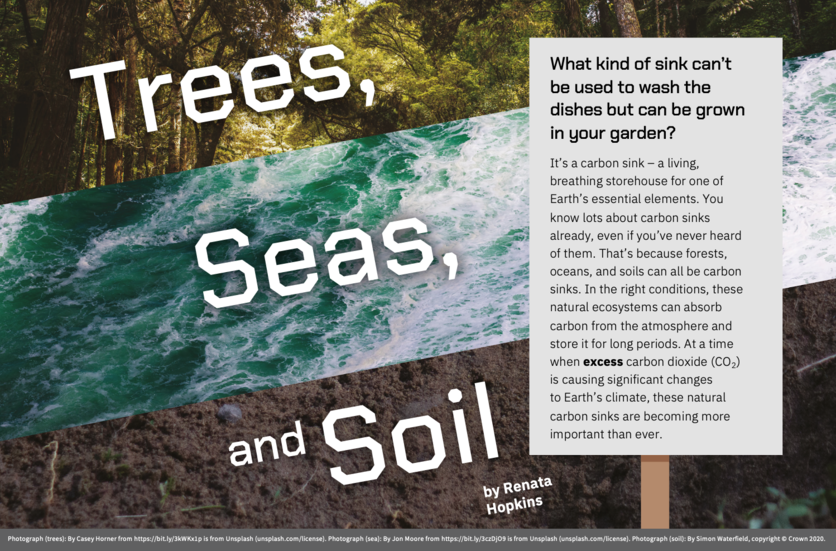 cover of 2020 Connected journal article: Trees, seas and soil