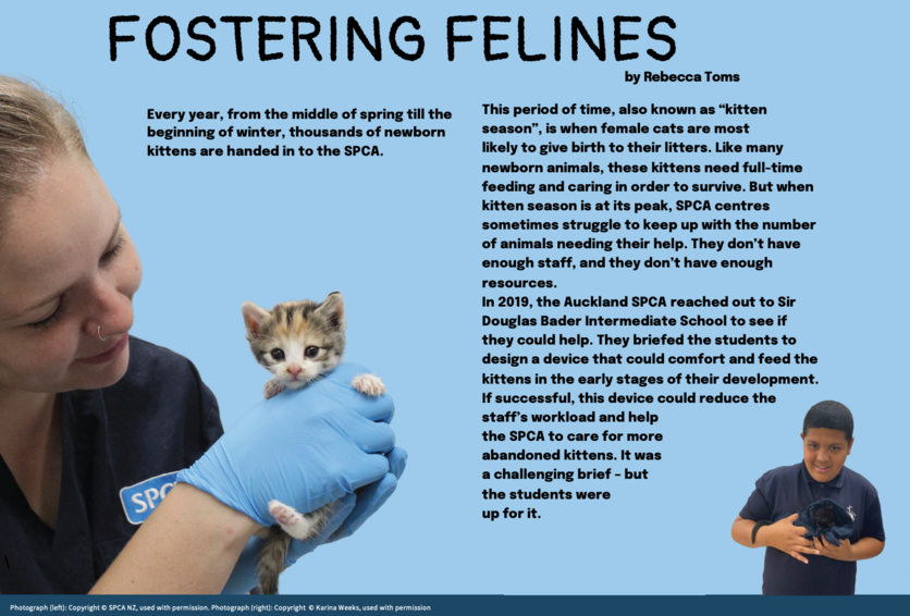 Cover of 2020 Level 4 Connected article: Fostering felines