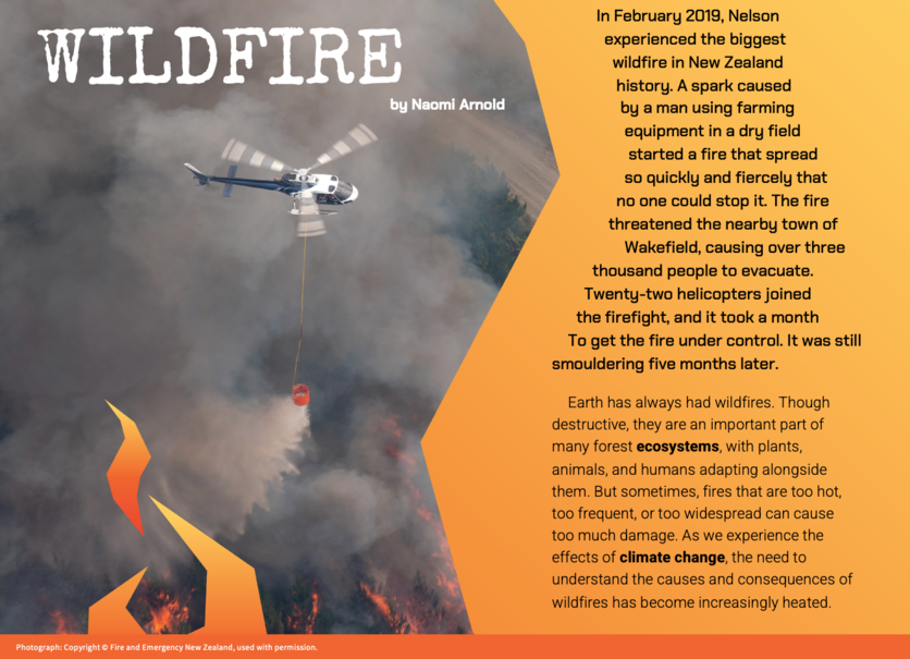 Cover of 2020 Level 4 Connected article: Wildfire