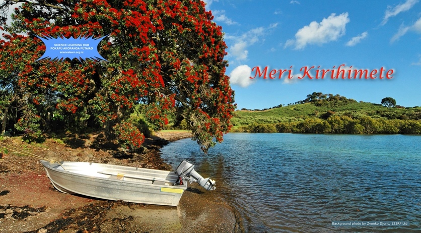 Meri Kirihimete pōhutukawa tree, boat by lake at summer