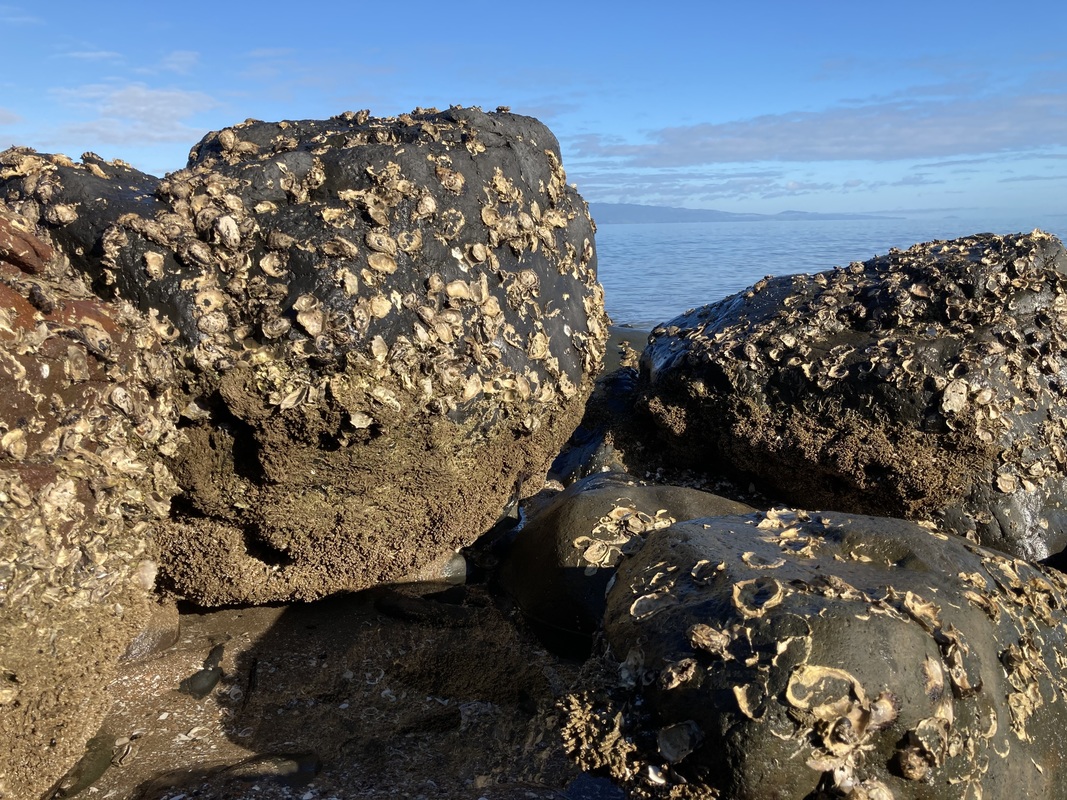 Rocks on the Ngarimu Bay seashore, New Zealand.