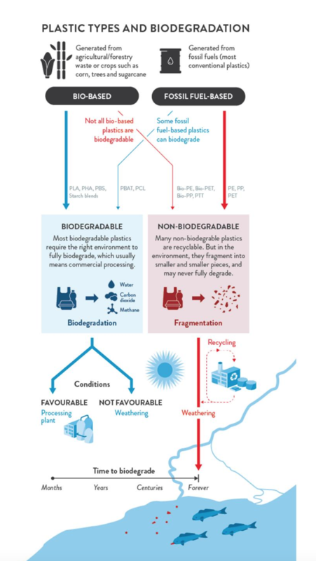 Plastic types and biodegradation inforgraphic