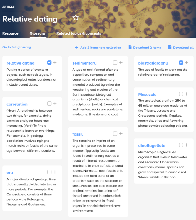 Screenshot Science Learning Hub's glossary from Relative dating