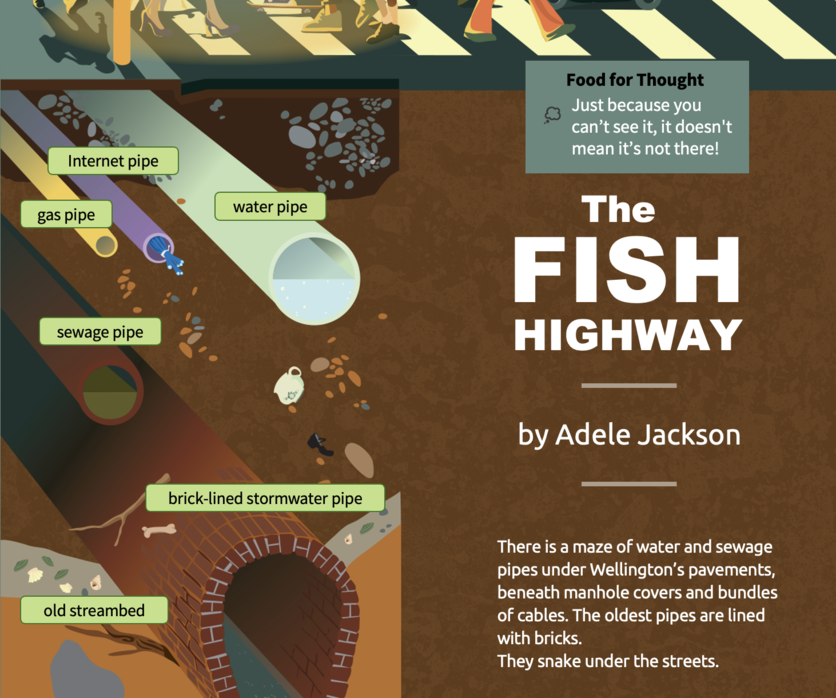 Cover 2013 Level 3 Connected journal article: The fish highway