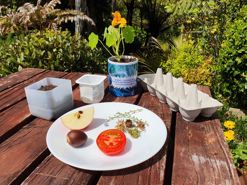 Range of items to help sprout and growing seeds. 