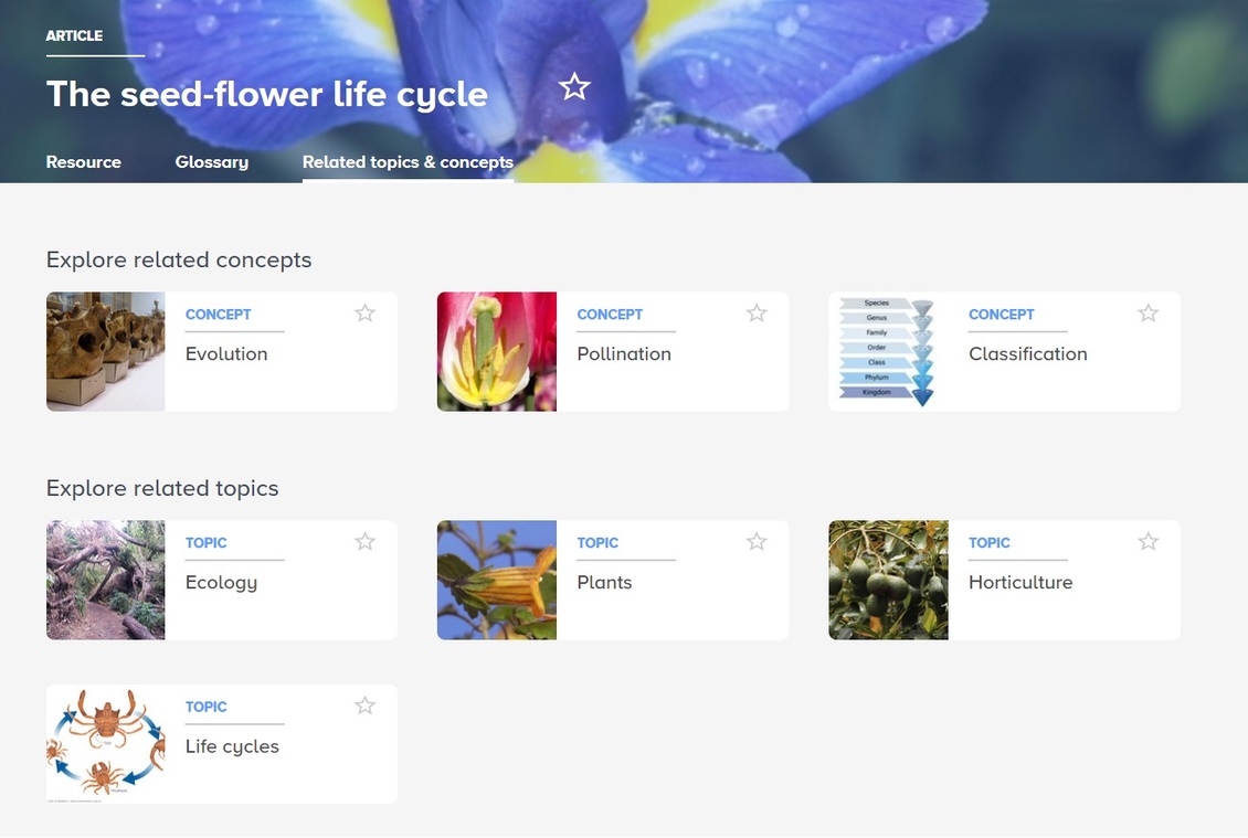 Screenshot of Science Learning Hub's The seed-flower life cycle