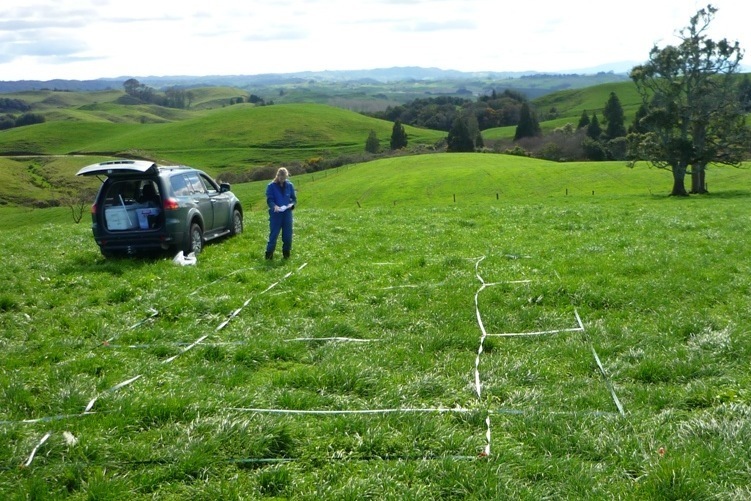Researcher conducting earthworm research on a Waikato farm, NZ
