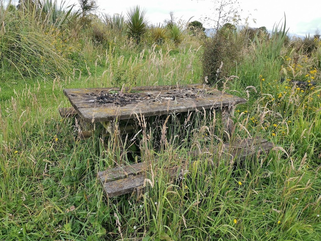 Rotten picnic table covered by plant growth at Sinclair Wetlands