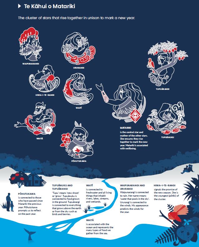 SLH Te Kāhui o Matariki and the environment — Science Learning Hub