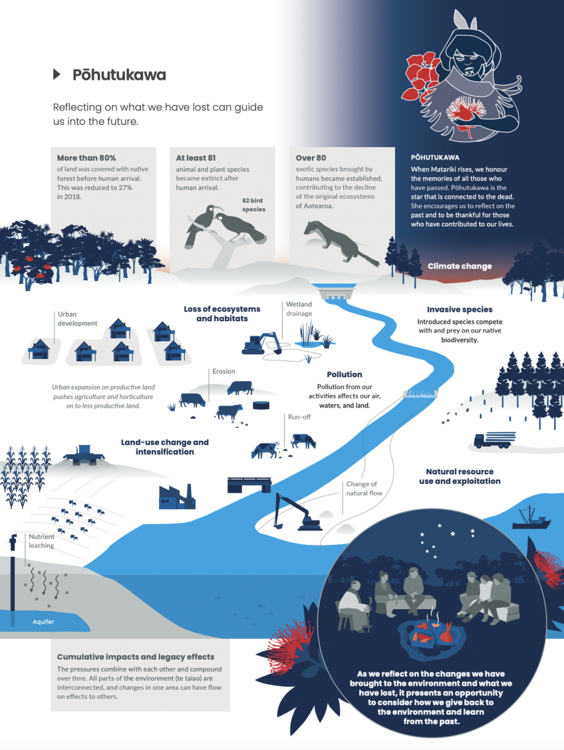 Infographic highlights human impacts on the environment. 
