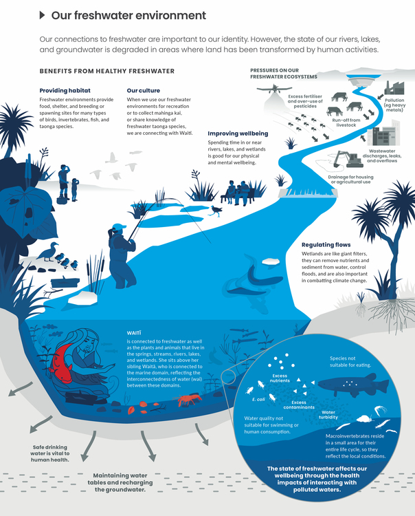 Waitī – reflecting on our freshwater environment infographic. 