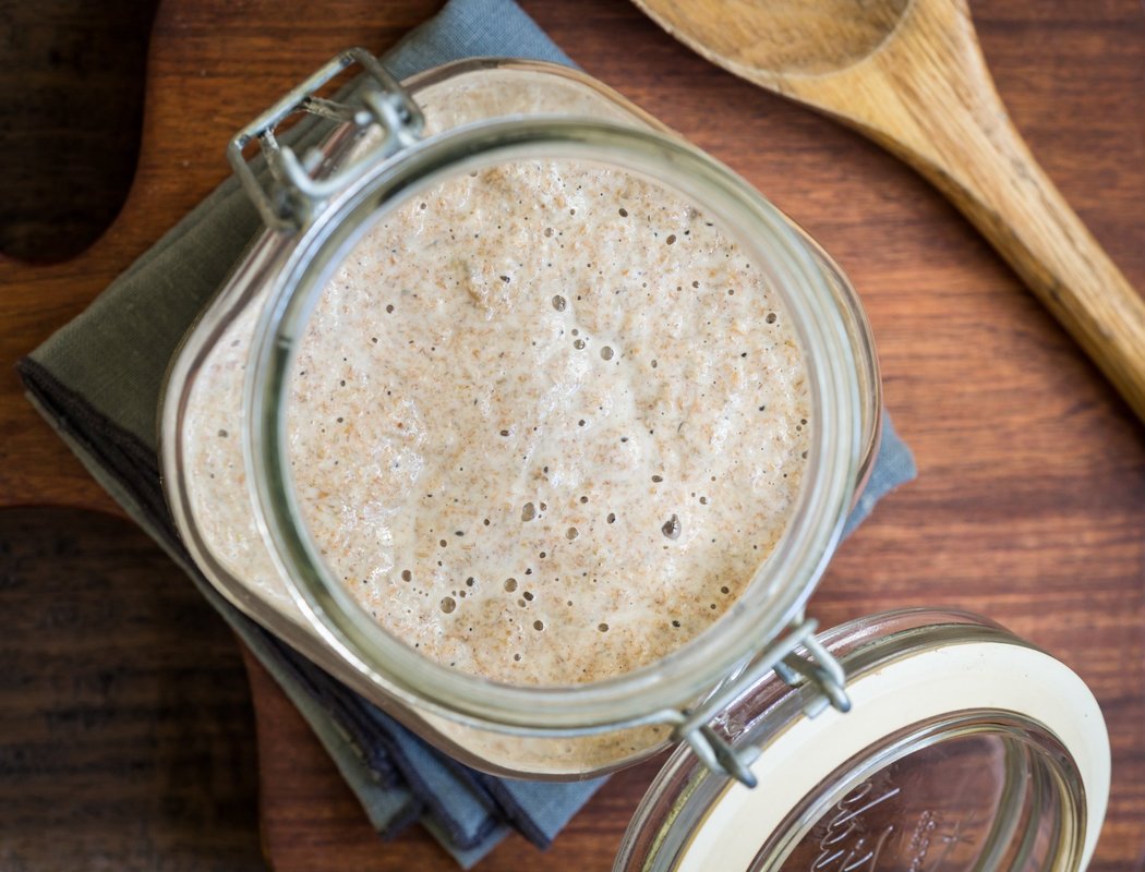 Active rye sourdough starter — Science Learning Hub
