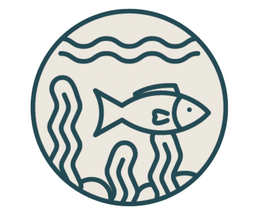 Spyfish Aotearoa logo.