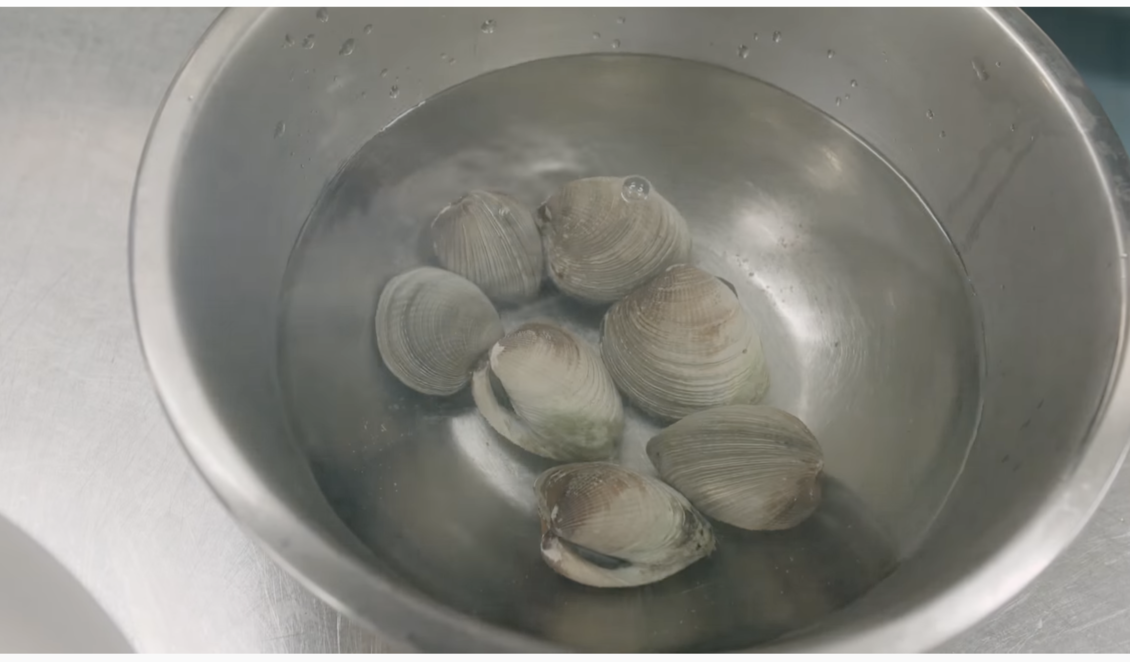 Tuaki, tuangi or New Zealand cockles in a silver metal bowl