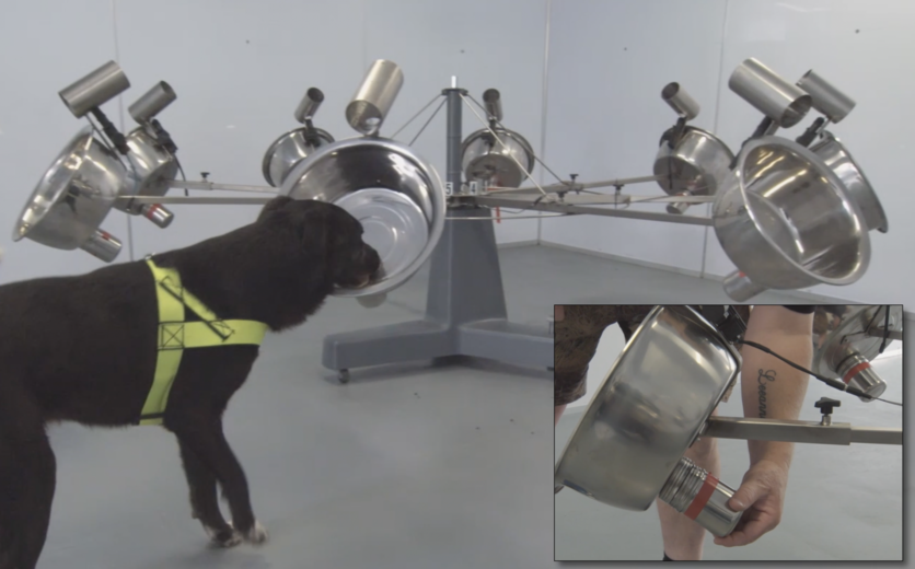 Multi-bucket carousel in a cleanroom set up for dog training