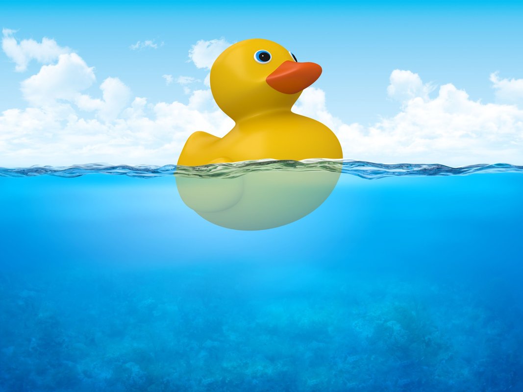 Floating toy duck character.