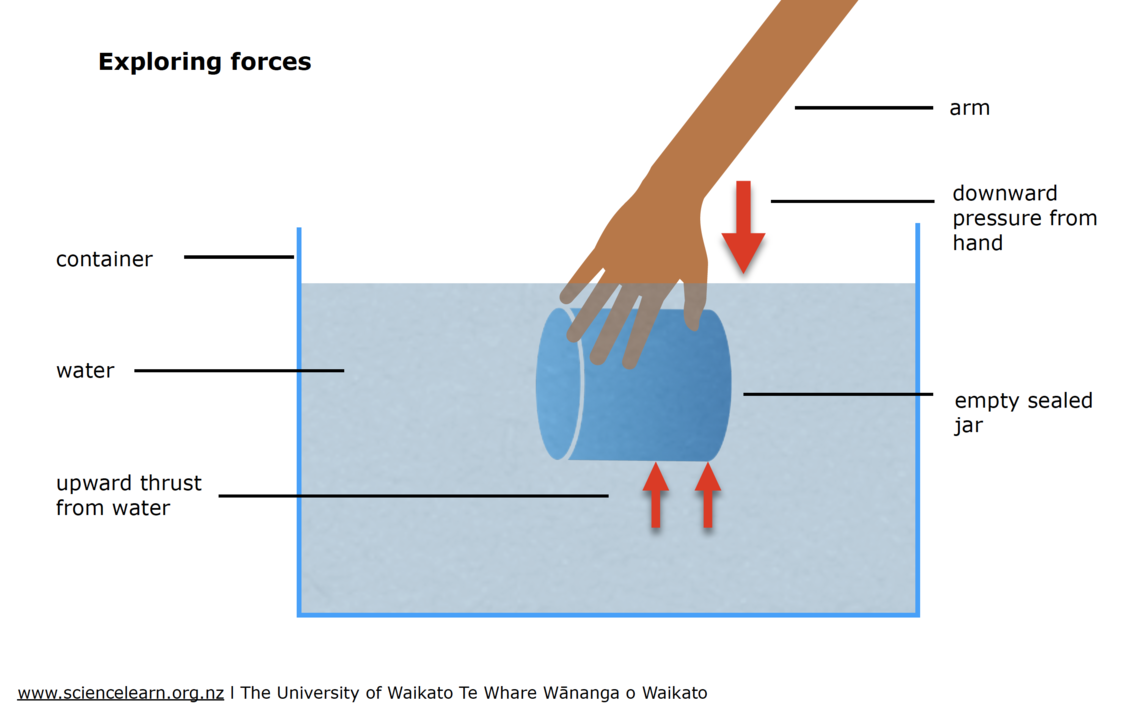 Diagram of what happens when you push down on a floating object.