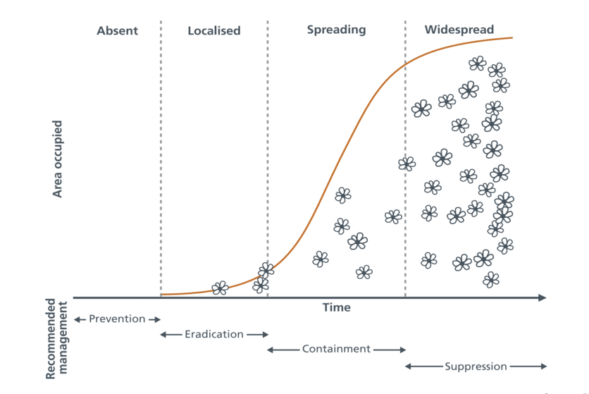 Graph of species invasion from non-existent to widespread
