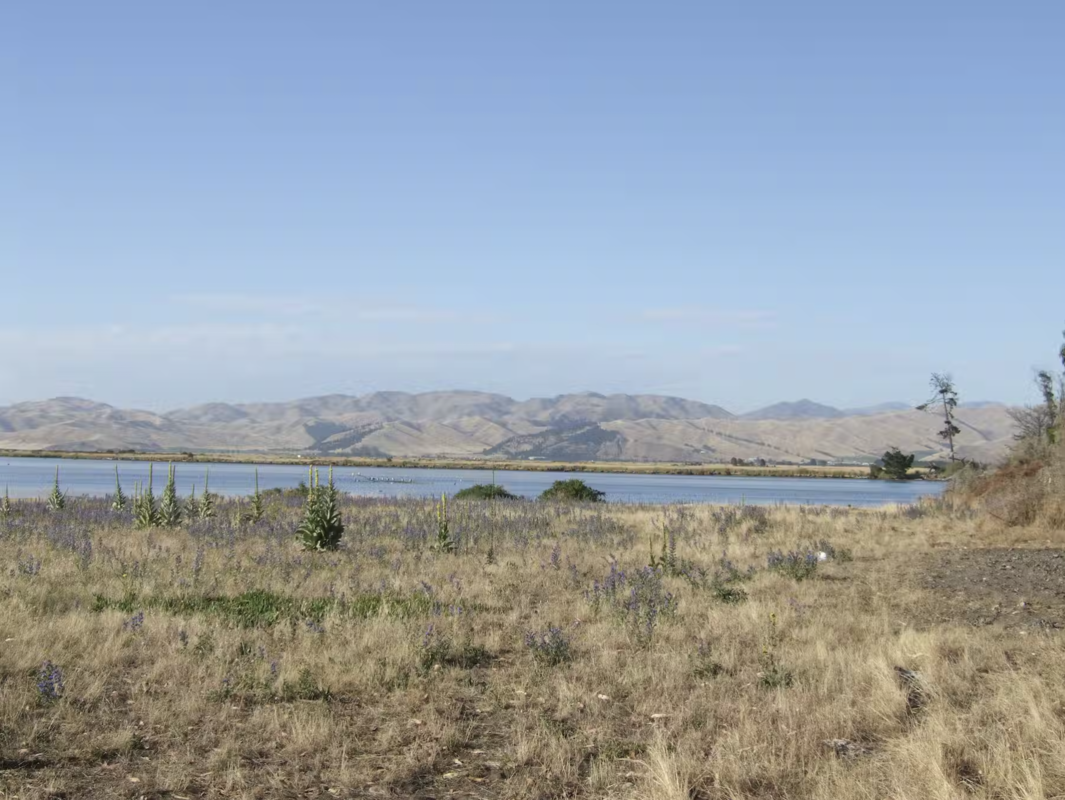 View of Wairau Bar, New Zealand. 