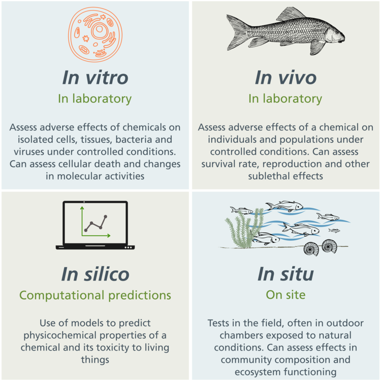 Methods to assess the toxicity of chemicals to living things