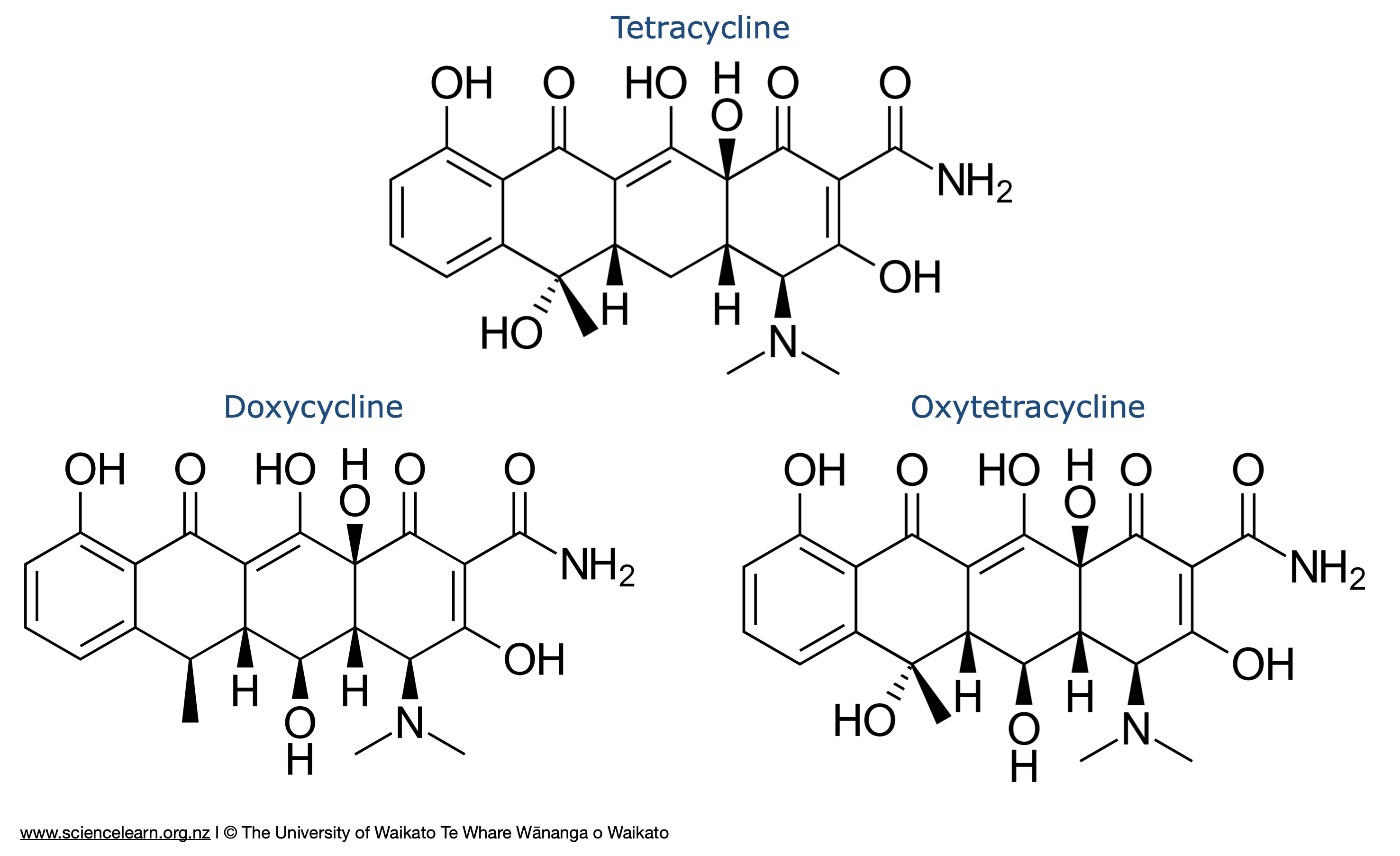 Tetracycline antibiotics buy