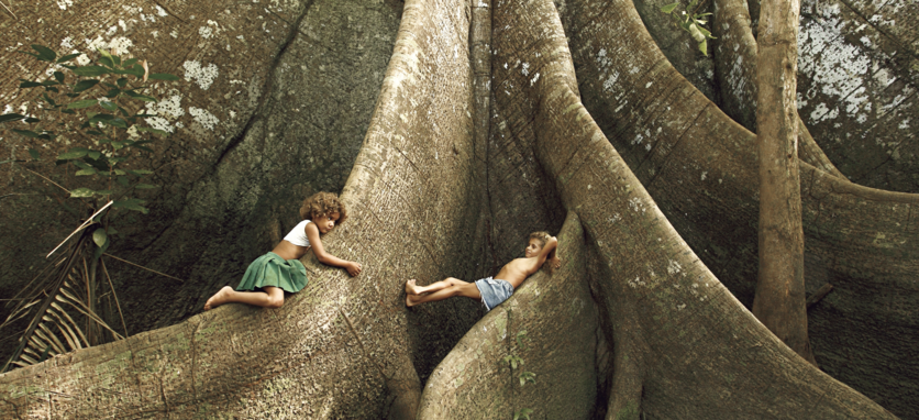 Children sit on the buttress roots of a large samaúma tree