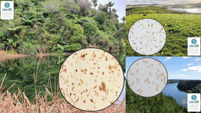 Microscopic pollen samples show biodiversity versus monoculture.