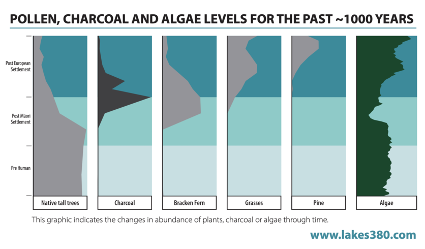 Graph showing evidence of changes in a lake through time.