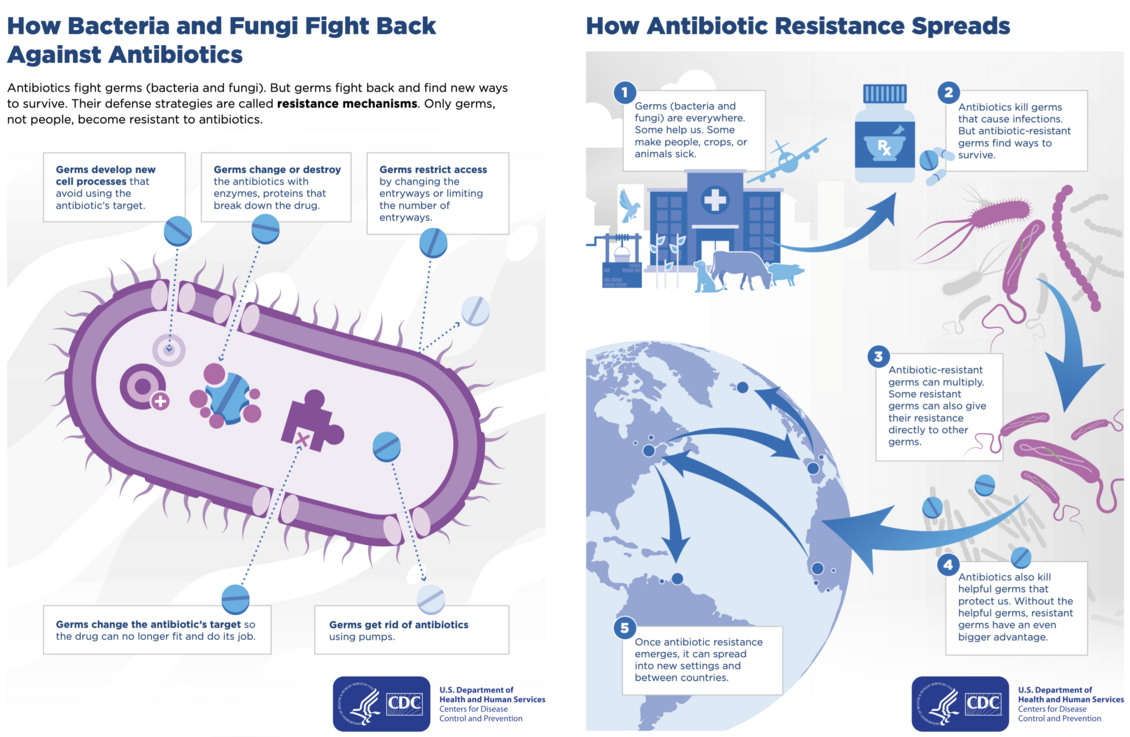 How Antimicrobial Resistance Happens Science Learning Hub How Antimicrobial Resistance Happens Science Learning Hub