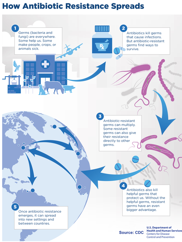AMR Mechanisms And Spread Science Learning Hub AMR Mechanisms And Spread Science Learning Hub