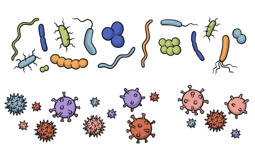 Colourful cartoon drawing of bacteria and viruses.