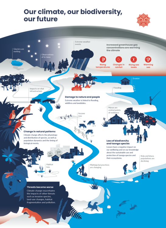 Infographic on impacts of climate change on biodiversity