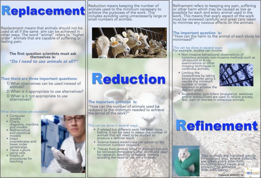 Text & images explaining the three Rs around lab animals