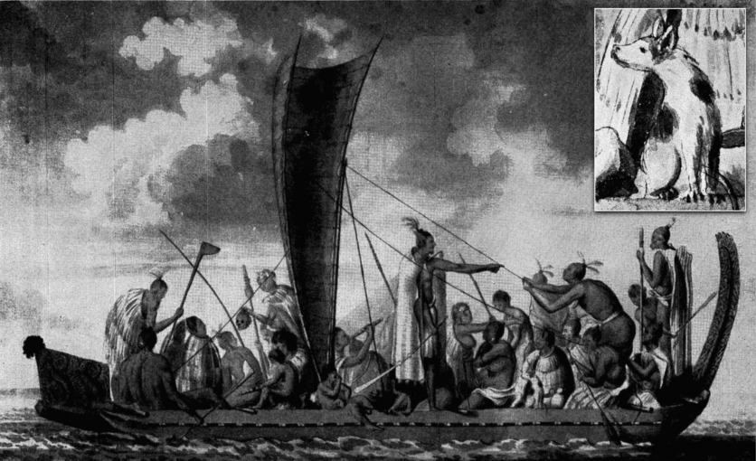 15th century Drawing of Māori men in a waka with white dog.