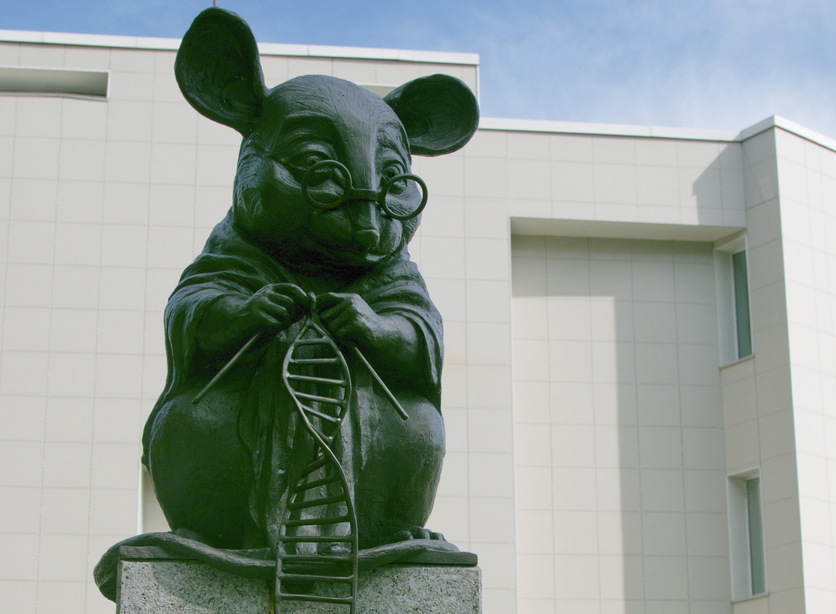 Sculpture features a lab mouse knitting the double helix of DNA