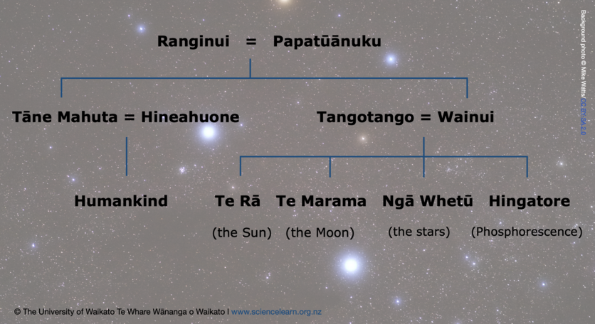Background night sky and whakapapa in Māori cosmology
