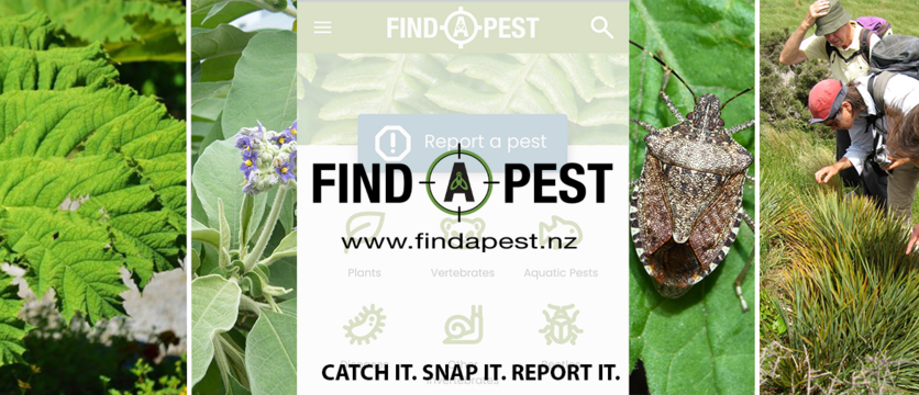 Images from the Find-A-Pest app. 