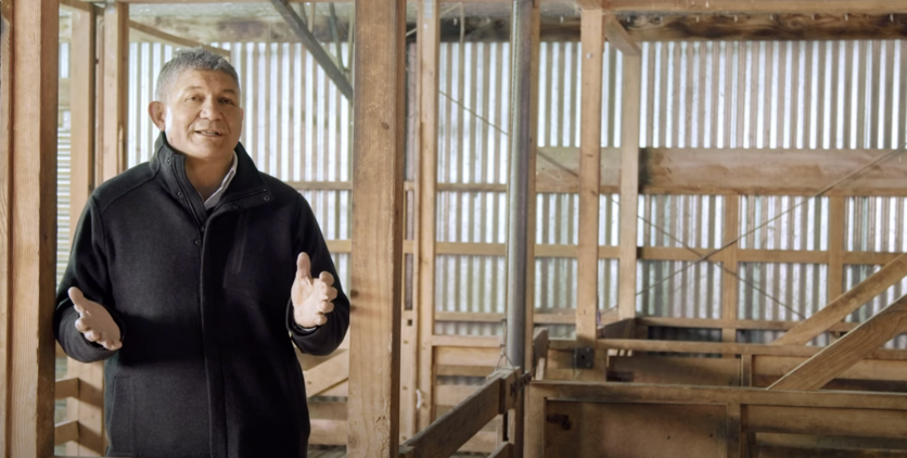 Hilton Collier, a man stands in woolshed