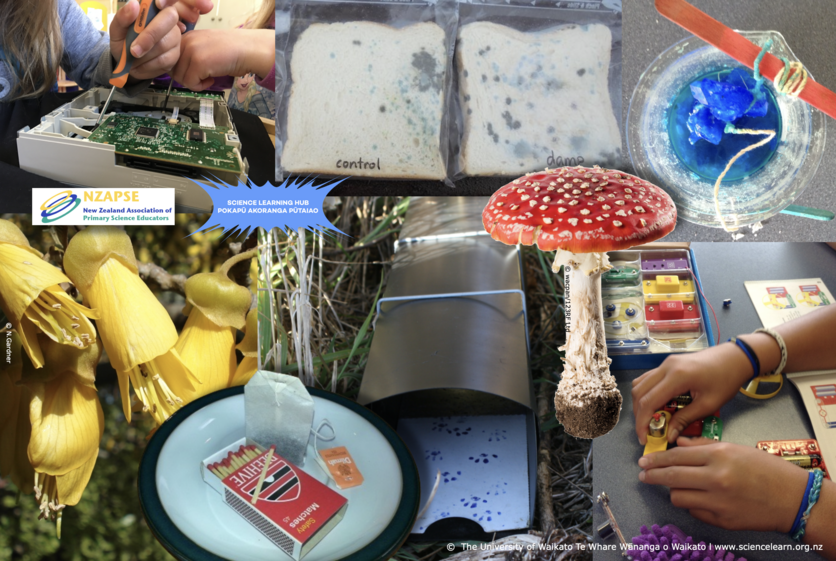 Collage of images related to primary science.