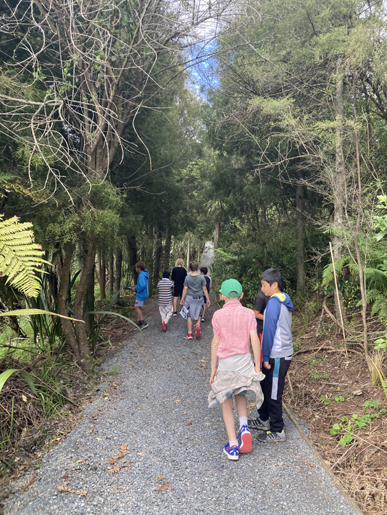 Children on a gravel path amongst native trees