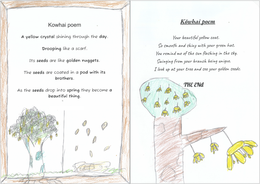 Two illustrated poems about kōwhai trees and flowers