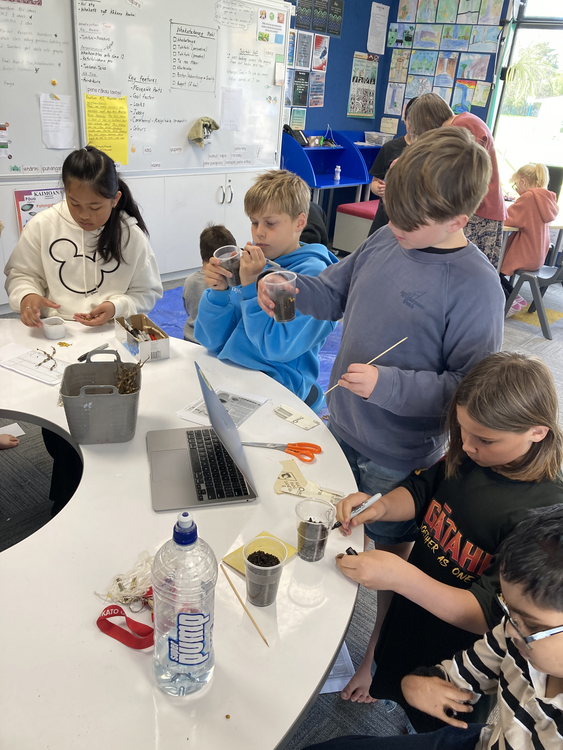 Five children in class planting seeds in plastic containers