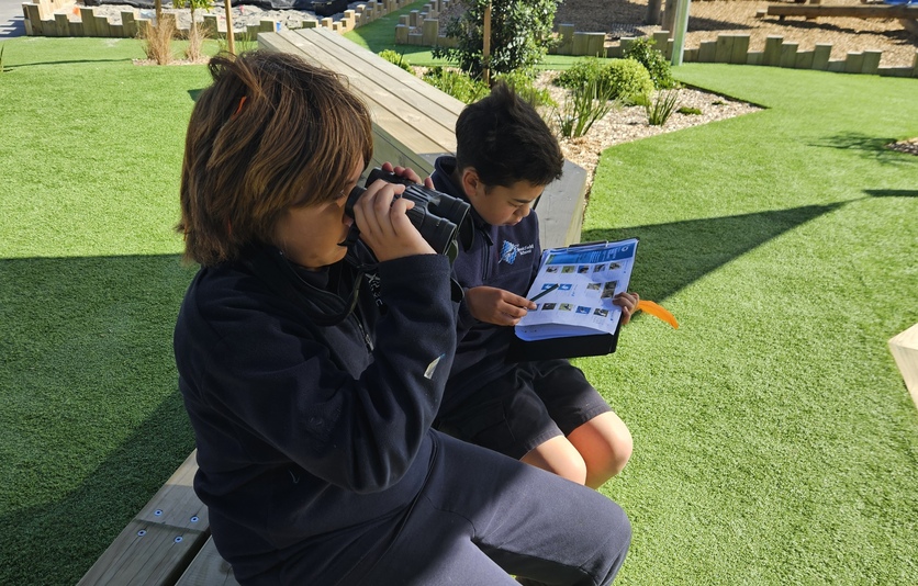 2 children observing birds using binoculars and a bird chart. 