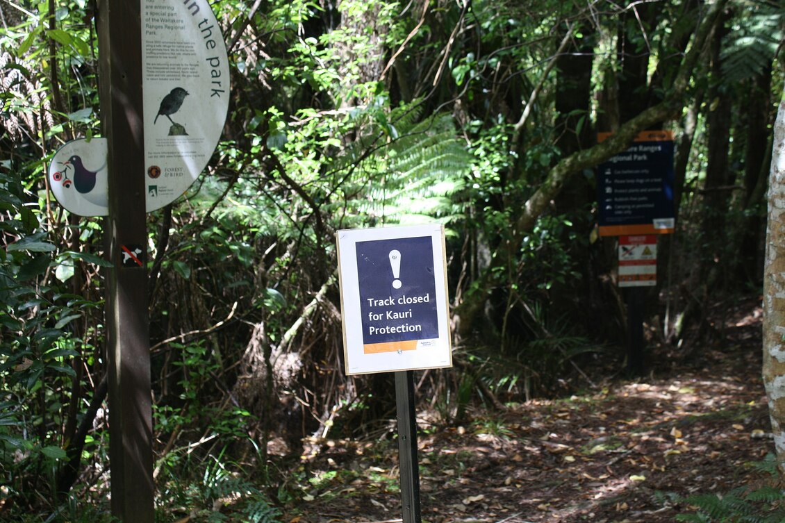 Sign in the Waitākere Ranges forest saying track closed